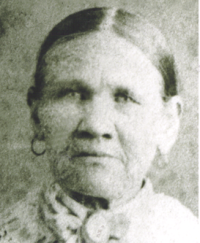 Annie Nelson (1827 - 1922) Profile
